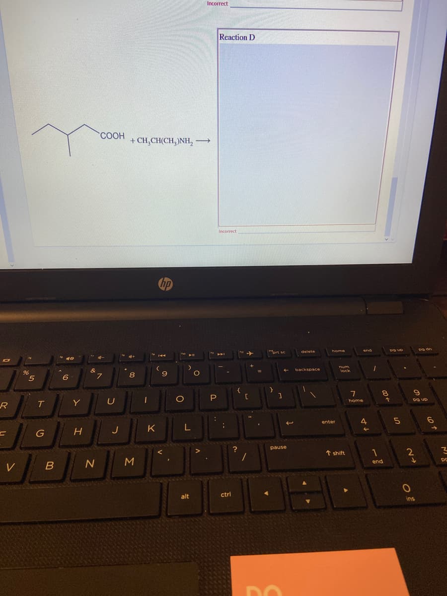 Incorrect
Reaction D
COOH
+ CH,CH(CH, )NH, →
|
Incorrect
hp
ort sc
end
pg dn
delete
home
dn Bd
rum
&
7.
backspace
lock
6
7
8.
P
[C
an ba
pg up
home
R
Y
6.
enter
J
K
L
?
pause
* shift
1
2
IN
N
M
end
alt
ctrl
ins
