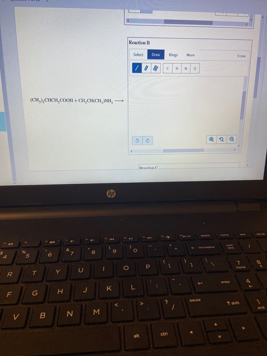 Reaction B
Select
Draw
Rings
More
Erase
C
H
N
(CH,),CHCH,COOH + CH,CH(CH, )NH,
Reaction C
hp
end
Dg up
ort sc
delete
home
144
14
num
backspace
lock
&
7
9
$4
4
5
P
home
T
Y
R
4
enter
J
K
L
G
pause
↑ shift
1
end
V
ctrl
alt
Σ
