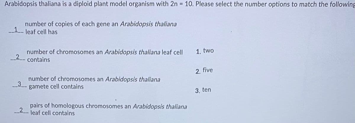 **Arabidopsis thaliana: Genetic Information Overview**

*Arabidopsis thaliana* is a diploid plant model organism with a chromosome number designated as 2n = 10. Below are some key points regarding the genetic makeup and structure of *Arabidopsis thaliana* cells. Please select the appropriate numbers to answer the following questions:

1. The number of copies of each gene an *Arabidopsis thaliana* leaf cell has:  
   - Answer: **2 copies**

2. The number of chromosomes an *Arabidopsis thaliana* leaf cell contains:
   - Answer: **10 chromosomes**

3. The number of chromosomes an *Arabidopsis thaliana* gamete cell contains:
   - Answer: **5 chromosomes**

4. The pairs of homologous chromosomes an *Arabidopsis thaliana* leaf cell contains:
   - Answer: **5 pairs**

These questions aim to test your understanding of the basic genetic structure of *Arabidopsis thaliana*. In the provided options, numbers such as two, five, and ten relate to the counted properties within the organism's cells.

There are no graphs or diagrams presented in this question; however, the information above should provide a comprehensive understanding of the genetic organization within *Arabidopsis thaliana*.