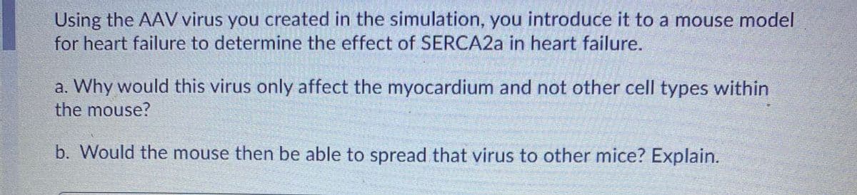 Using the AAV virus you created in the simulation, you introduce it to a mouse model for heart failure to determine the effect of SERCA2a in heart failure.

a. Why would this virus only affect the myocardium and not other cell types within the mouse?

b. Would the mouse then be able to spread that virus to other mice? Explain.