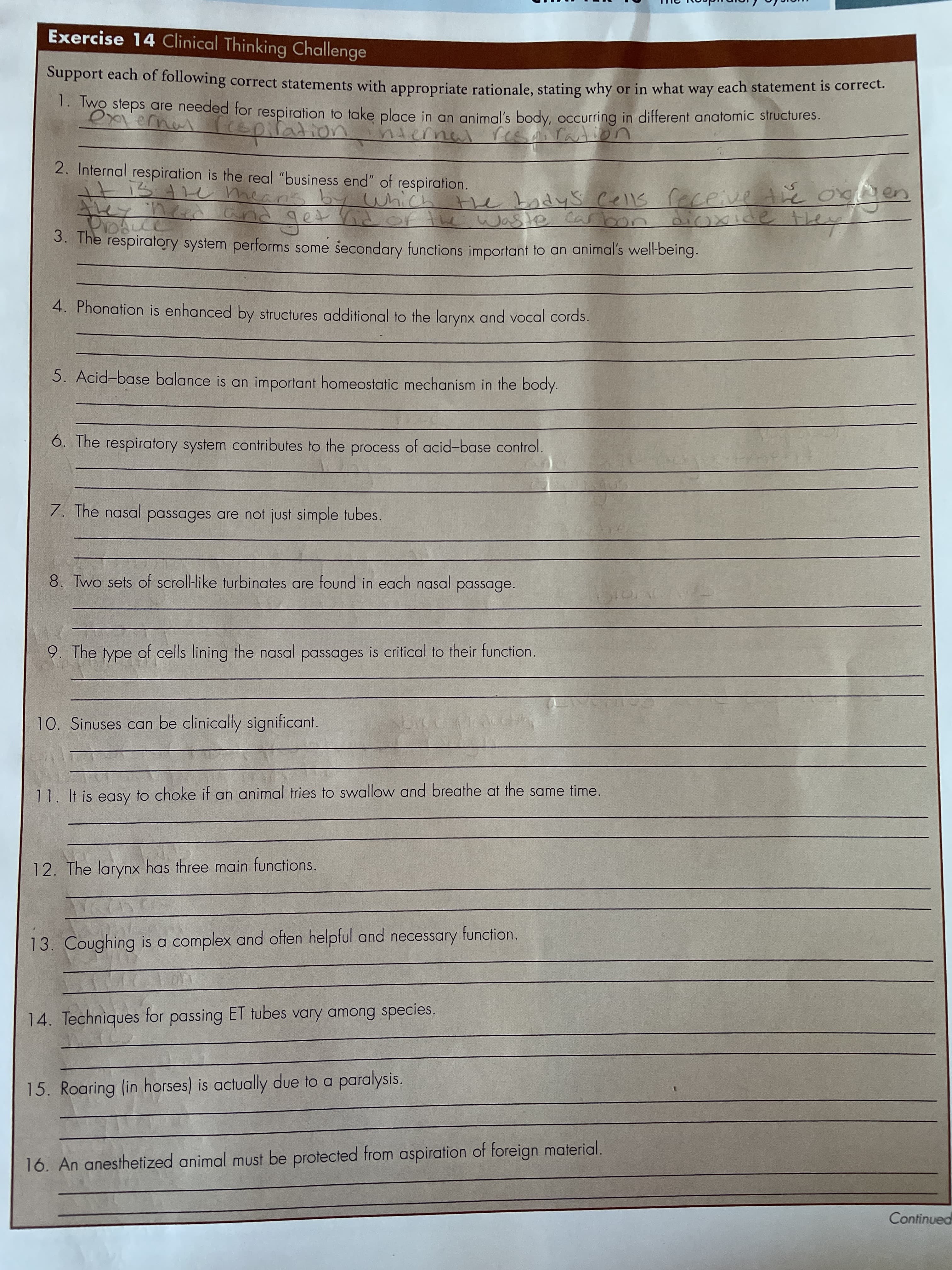 I1. 1 ay lo chole it an penal
Exercise 14 Clinical Thinking Challenge
Support each of following correct statements with appropriate rationale, stating why or in what
each statement is correct.
way
1. Two steps are needed for respiration to take place in an animal's body, occurring in different anatomic structures.
pilationi nternal res n ration
2. Internal respiration is the real "business end" of respiration.
परा्ड
odys Cells receive tie og
and
एरीब
bon
3. The respiratory system performs some secondary functions important to an animal's well-being.
4. Phonation is enhanced by structures additional to the larynx and vocal cords.
5. Acid-base balance is an important homeostatic mechanism in the body.
6. The respiratory system contributes to the process of acid-base control.
7. The nasal passages are not just simple tubes.
8. Two sets of scroll-like turbinates are found in each nasal
passage.
9. The type of cells lining the nasal passages is critical to their function.
10. Sinuses can be clinically significant.
11. It is easy to choke if an animal tries to swallow and breathe at the same time.
12. The larynx has three main functions.
13. Coughing is a complex and often helpful and necessary function.
on
14. Techniques for passing ET tubes vary among species,
15. Roaring (in horses) is actually due to a paralysis.
16. An anesthetized animal must be protected from aspiration of foreign material.
Continued
