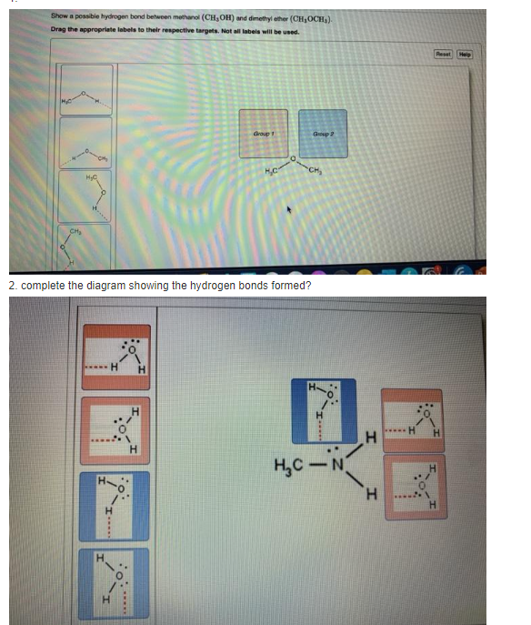 Show a possible hydrogen bond between methanol (CH, OH) and dimethyl ether (CH₂OCH₂).
Drag the appropriate labels to their respective targets. Not all labels will be used.
CH₂
H₂C
www.
H
H-O
H
www.
Group 1
H
M
2. complete the diagram showing the hydrogen bonds formed?
0,
Group 2
CH₂
I.....
H₂C-N
H
H
-H
Resel Help