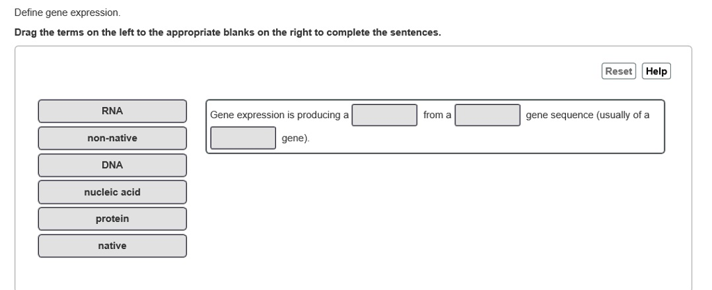Define gene expression.
Drag the terms on the left to the appropriate blanks on the right to complete the sentences.
RNA
non-native
DNA
nucleic acid
protein
native
Gene expression is producing a
gene).
from a
Reset Help
gene sequence (usually of a