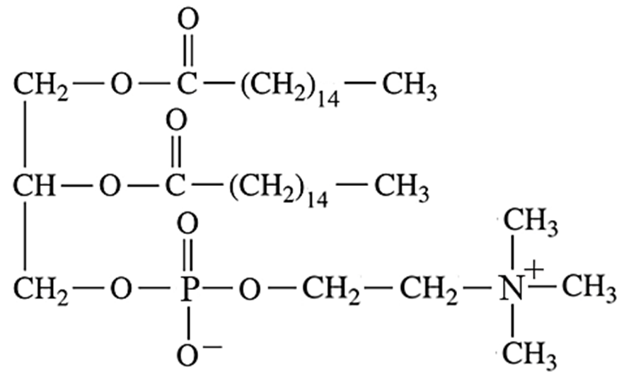 O
CH₂-O-C-(CH2)14-CH3
O
||
CH–0–C−(CH2) 4–CH3
14
CH3
O
||
+
CH,−0-P−O−CH2–CH,−NCH3
0-
CH3