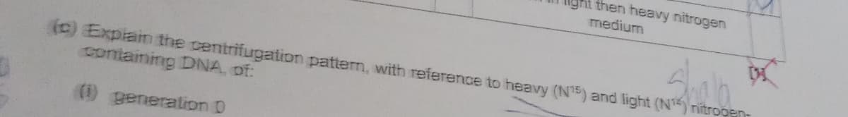 then heavy nitrogen
medium
(c) Explain the centrifugation pattern, with reference to heavy (N5) and light (N) nitrogen-
containing DiNA, of:
(i) generation D
