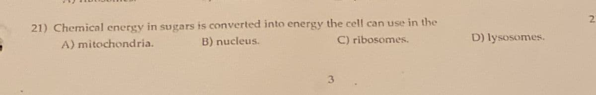 21) Chemical energy in sugars is converted into energy the cell can use in the
A) mitochondria.
B) nucleus.
C) ribosomes.
3
D) lysosomes.
2