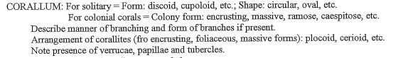 CORALLUM: For solitary = Form: discoid, cupoloid, etc.; Shape: circular, oval, etc.
For colonial corals =Colony form: encrusting, massive, ramose, caespitose, etc.
Describe manner of branching and form of branches if present.
Arrangement of corallites (fro encrusting, foliaceous, massive forms): plocoid, cerioid, etc.
Note presence of verrucae, papillae and tubercles.
