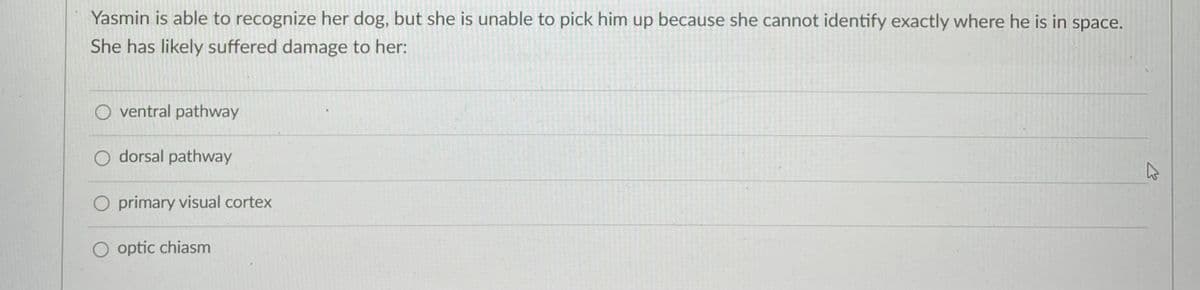Yasmin is able to recognize her dog, but she is unable to pick him up because she cannot identify exactly where he is in space.
She has likely suffered damage to her:
O ventral pathway
O dorsal pathway
O primary visual cortex
O optic chiasm

