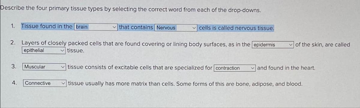 Describe the four primary tissue types by selecting the correct word from each of the drop-downs.
1. Tissue found in the brain
that contains Nervous
cells is called nervous tissue.
of the skin, are called
2. Layers of closely packed cells that are found covering or lining body surfaces, as in the epidermis
epithelial
tissue.
3.
Muscular
tissue consists of excitable cells that are specialized for contraction
and found in the heart.
4.
Connective
tissue usually has more matrix than cells. Some forms of this are bone, adipose, and blood.