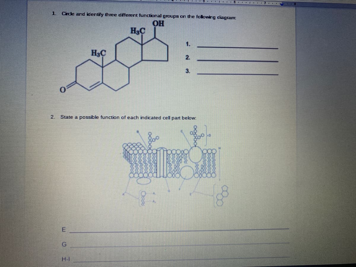 I Or 7
1.
Circde and identify three different functional groups on the following diagram
HO.
H3C
1.
2.
3.
2.
State a possible function of each indicated cell part below:
H-I
