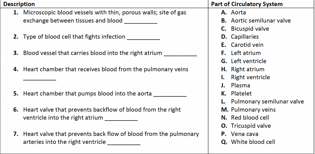 Part of Circulatory System
А. Aorta
Description
1. Microscopic blood vessels with thin, porous walls; site of gas
exchange between tissues and blood
B. Aortic semilunar valve
C. Bicuspid valve
D. Capillaries
E. Carotid vein
F. Left atrium
2. Type of blood cell that fights infection
3. Blood vessel that carries blood into the right atrium
G. Left ventricle
4. Heart chamber that receives blood from the pulmonary veins
H. Right atrium
I. Right ventricle
J. Plasma
K. Platelet
L. Pulmonary semilunar valve
M. Pulmonary veins
5. Heart chamber that pumps blood into the aorta
6. Heart valve that prevents backflow of blood from the right
ventricle into the right atrium
N. Red blood cell
O. Tricuspid valve
P. Vena cava
7. Heart valve that prevents back flow of blood from the pulmonary
arteries into the right ventricle
Q. White blood cell
