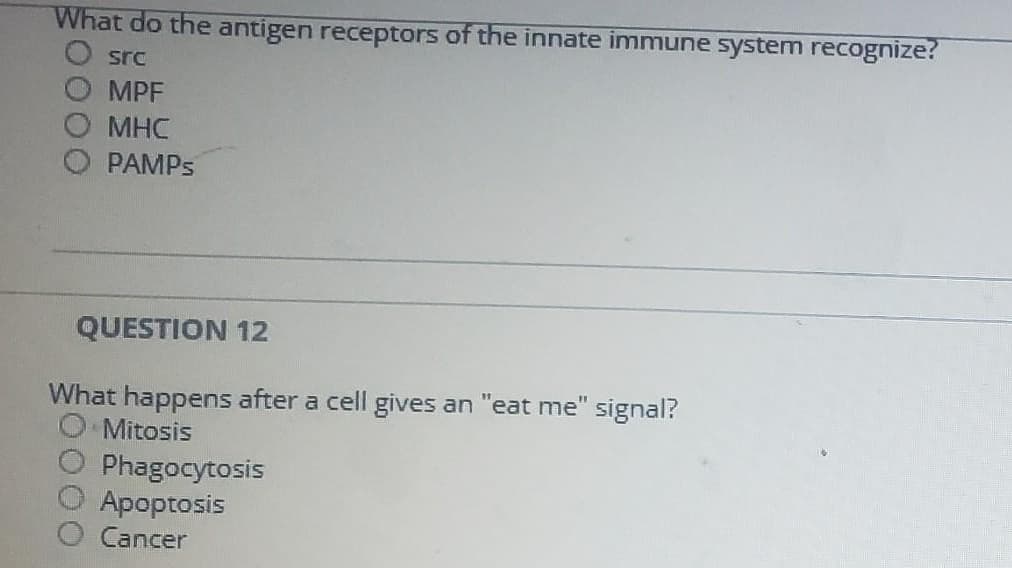 What do the antigen receptors of the innate immune system recognize?
O src
MPF
MHC
PAMPS
QUESTION 12
What happens after a cell gives an "eat me" signal?
Mitosis
Phagocytosis
Apoptosis
Cancer
