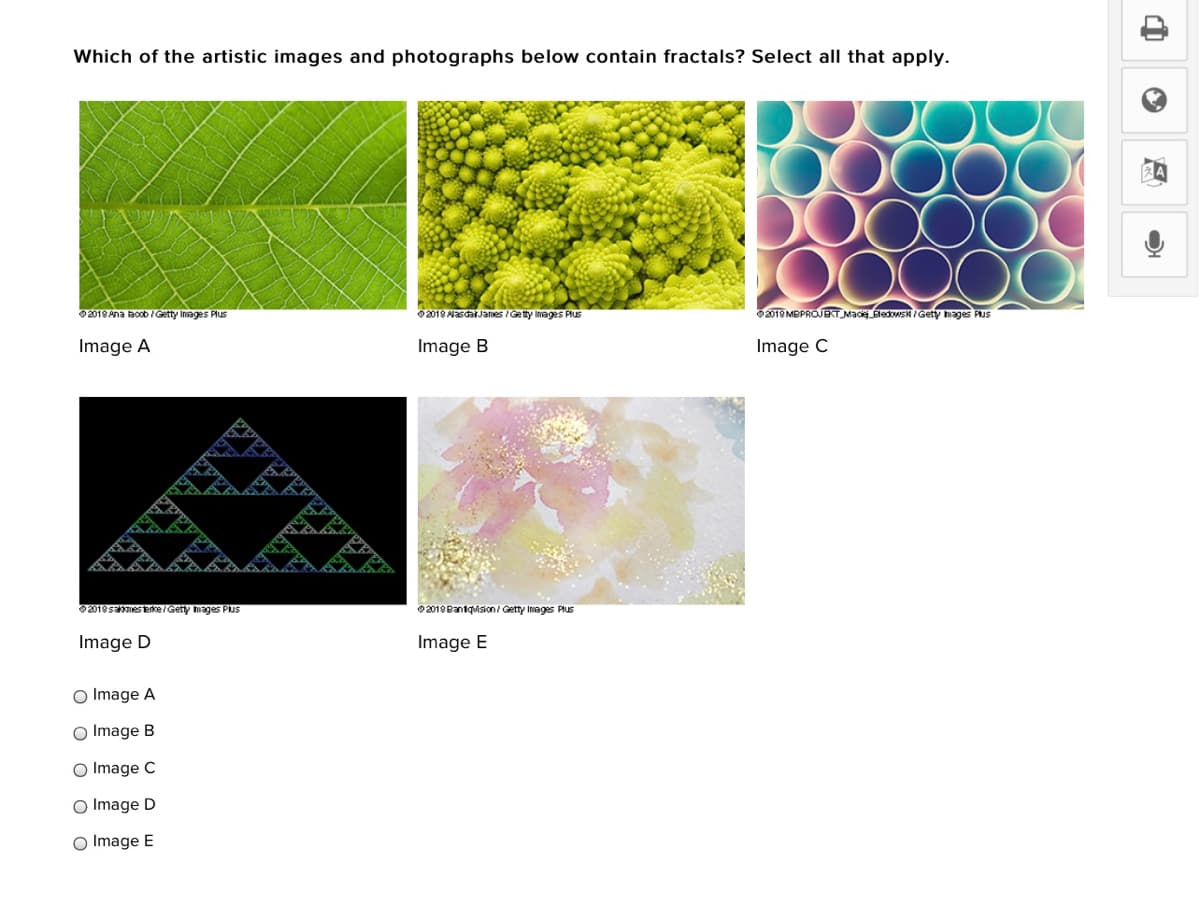 Which of the artistic images and photographs below contain fractals? Select all that apply.
2018 Ana acob/ Getty Inages Plus
02019 NasdarJanes Getty Images Plus
2019 MBPROJEKT Mac BledwsNiGety mages PUS
Image A
Image B
Image C
2019sakmeserke/Getty mages Pus
0 2018Bantquision/ Getty Inages Pus
Image D
Image E
O Image A
O Image B
O Image C
O Image D
O Image E
