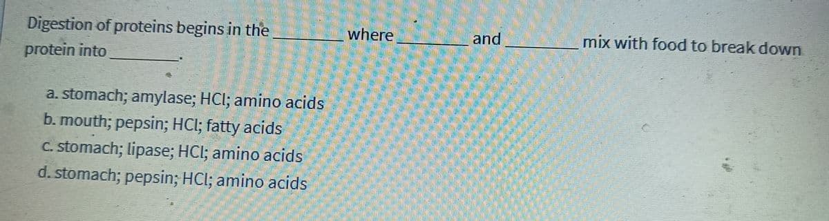 Digestion of proteins begins in the
protein into
a. stomach; amylase; HCl; amino acids
b. mouth; pepsin; HCl; fatty acids
c. stomach; lipase; HCl; amino acids
d. stomach; pepsin; HCl; amino acids
where
and
mix with food to break down