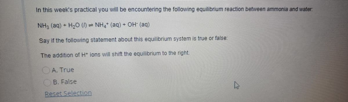 In this week's practical you will be encountering the following equilibrium reaction between ammonia and water
NH3 (aq) + H,O (1) = NH, (aq) + OH (aq)
Say if the following statement about this equilibrium system is true or false:
The addition of H* lons will shift the equilibrium to the right.
(A. True
B. False
Reset Selection
