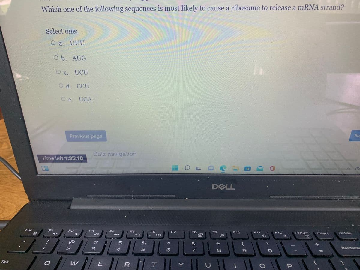 Which one of the following sequences is most likely to cause a ribosome to release a mRNA strand?
Select one:
O a.
UUU
O b. AUG
O c. UCU
O d. CCU
Oe.
UGA
Ne
Previous page
Quiz navigation
Time left 1:35:10
DELL
F11
F12
PrtScr
Insert
Delete
F4
F5
F6
F7
F8
F9
F10
Esc
F1
F2
F3
23
%$4
&
Backspac
1
8.
E
R T Y
Tab
