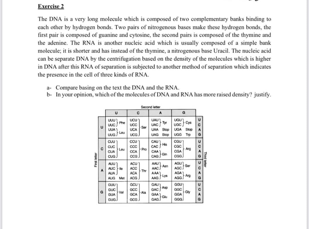 Exercise 2
The DNA is a very long molecule which is composed of two complementary banks binding to
each other by hydrogen bonds. Two pairs of nitrogenous bases make these hydrogen bonds, the
first pair is composed of guanine and cytosine, the second pairs is composed of the thymine and
the adenine. The RNA is another nucleic acid which is usually composed of a simple bank
molecule; it is shorter and has instead of the thymine, a nitrogenous base Uracil. The nucleic acid
can be separate DNA by the centrifugation based on the density of the molecules which is higher
in DNA after this RNA of separation is subjected to another method of separation which indicates
the presence in the cell of three kinds of RNA.
a- Compare basing on the text the DNA and the RNA.
b- In your opinion, which of the molecules of DNA and RNA has more raised density? justify.
Second letter
A
UUU
Uuc)
UUA)
UUG Leu
CUU
UCU
UGU
UAU)
UAC Ty
UAA Stop
UAG Stop
Phe
UGC Cys
UGA Stop
UCC
UCA
UCG
UGG Trp
G
CCU
CAU)
CAC His
CAA)
CGU)
U
CUC
Leu
CC
CGC
Arg
Pro
CUA
CCA
CGA
CUG,
CCG
CAG Gin
CGG
AUU
AUC le
AUA
AUG Met
AAU
Asn
AAC)
Thr
AAA
AGU
Ser
AGC
ACU
ACC
AÇA
AGA
ACG
AAG Lys
AGG
Arg
GUU
GCU
GAU)
GGU)
GUC
Val
GUA
GACAnp
Ala
GCC
GGC
GGA Gly
GGG
GCA
GAA )
GUG
GCG
GAG Glu
First letter
Third letter
