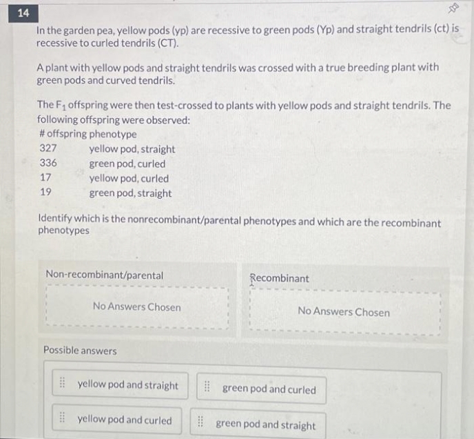 14
In the garden pea, yellow pods (yp) are recessive to green pods (Yp) and straight tendrils (ct) is
recessive to curled tendrils (CT).
A plant with yellow pods and straight tendrils was crossed with a true breeding plant with
green pods and curved tendrils.
The F1 offspring were then test-crossed to plants with yellow pods and straight tendrils. The
following offspring were observed:
# offspring phenotype
327
yellow pod, straight
336
green pod, curled
yellow pod, curled
green pod, straight
17
19
Identify which is the nonrecombinant/parental phenotypes and which are the recombinant
phenotypes
Non-recombinant/parental
Recombinant
No Answers Chosen
No Answers Chosen
Possible answers
| yellow pod and straight
green pod and curled
I yellow pod and curled
I green pod and straight
