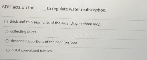 ADH acts on the
to regulate water reabsorption.
thick and thin segments of the ascending nephron loop
O collecting ducts
descending portions of the nephron loop
distal convoluted tubules
