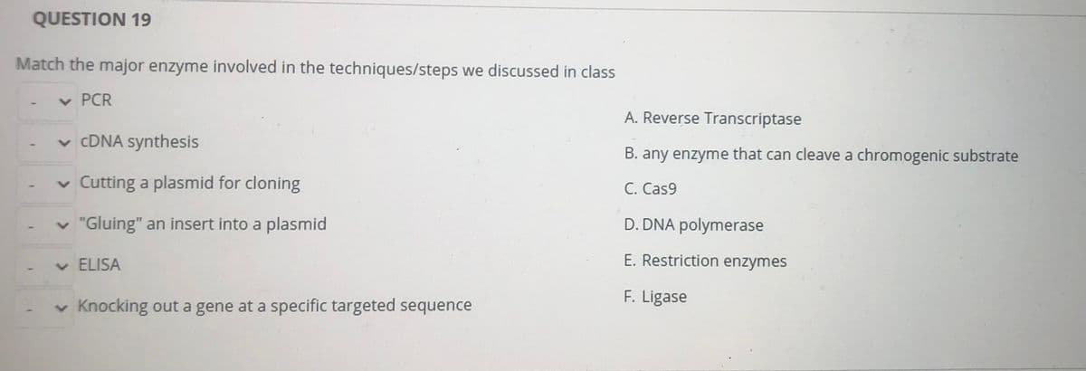 QUESTION 19
Match the major enzyme involved in the techniques/steps we discussed in class
v PCR
A. Reverse Transcriptase
v CDNA synthesis
B. any enzyme that can cleave a chromogenic substrate
v Cutting a plasmid for cloning
C. Cas9
v "Gluing" an insert into a plasmid
D. DNA polymerase
v ELISA
E. Restriction enzymes
v Knocking out a gene at a specific targeted sequence
F. Ligase
