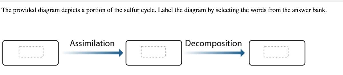 The provided diagram depicts a portion of the sulfur cycle. Label the diagram by selecting the words from the answer bank.
0
Assimilation
Decomposition