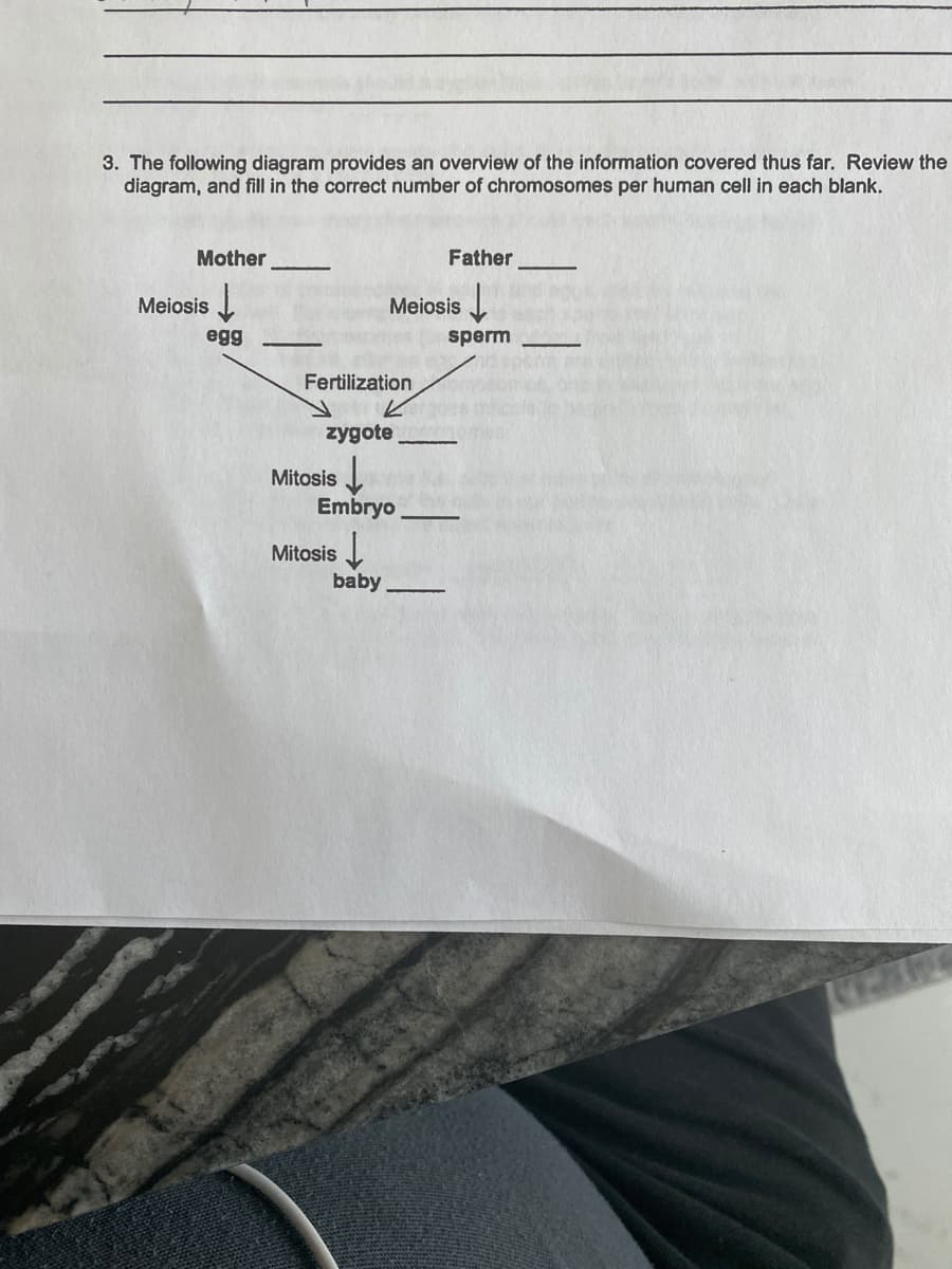 3. The following diagram provides an overview of the information covered thus far. Review the
diagram, and fill in the correct number of chromosomes per human cell in each blank.
Mother
Father
Meiosis I
Meiosis J
egg
sperm
Fertilization
zygote
Mitosis I
Embryo
Mitosis
baby
