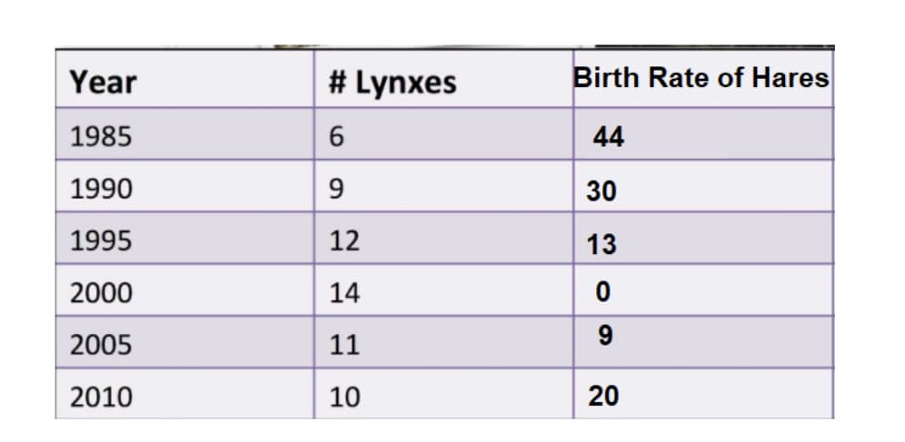 Year
# Lynxes
Birth Rate of Hares
1985
6
44
1990
9
30
1995
12
13
2000
14
2005
11
2010
20
10
