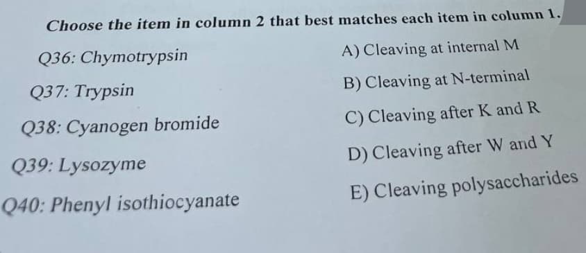 Choose the item in column 2 that best matches each item in column 1.
A) Cleaving at internal M
B) Cleaving at N-terminal
C) Cleaving after K and R
D) Cleaving after W and Y
E) Cleaving polysaccharides
Q36: Chymotrypsin
Q37: Trypsin
Q38: Cyanogen bromide
Q39: Lysozyme
Q40: Phenyl isothiocyanate