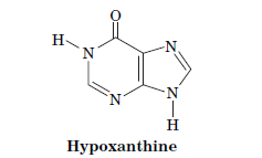 H-
N.
-N
H
Нурохаnthine
