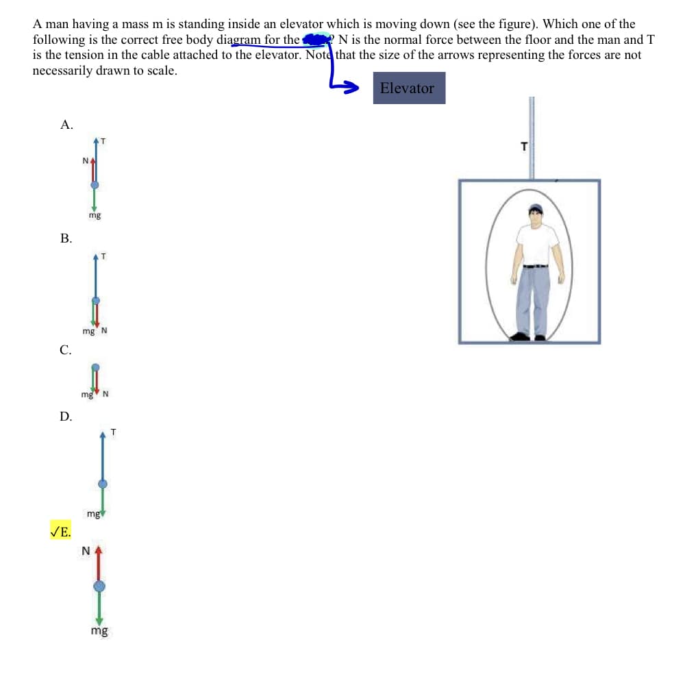 A man having a mass m is standing inside an elevator which is moving down (see the figure). Which one of the
following is the correct free body diągram for the N is the normal force between the floor and the man and T
is the tension in the cable attached to the elevator. Note that the size of the arrows representing the forces are not
necessarily drawn to scale.
Elevator
A.
T
T
NA
mg
В.
mg N
C.
mg N
D.
mg
VE.
N
mg
