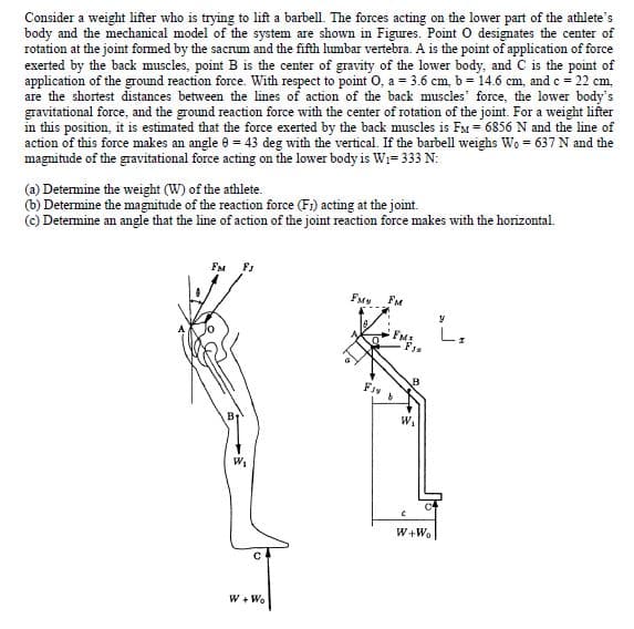 Consider a weight lifter who is trying to lift a barbell. The forces acting on the lower part of the athlete's
body and the mechanical model of the system are shown in Figures. Point O designates the center of
rotation at the joint formed by the sacrum and the fifth lumbar vertebra. A is the point of application of force
exerted by the back muscles, point B is the center of gravity of the lower body, and C is the point of
application of the ground reaction force. With respect to point O, a = 3.6 cm, b = 14.6 cm, and c = 22 cm,
are the shortest distances between the lines of action of the back muscles' force, the lower body's
gravitational force, and the ground reaction force with the center of rotation of the joint. For a weight lifter
in this position, it is estimated that the force exerted by the back muscles is FM = 6856 N and the line of
action of this force makes an angle 0 = 43 deg with the vertical. If the barbell weighs Wo = 637 N and the
magnitude of the gravitational force acting on the lower body is W:= 333 N:
(a) Determine the weight (W) of the athlete.
(b) Determine the magnitude of the reaction force (F;) acting at the joint.
(c) Determine an angle that the line of action of the joint reaction force makes with the horizontal.
FM
Fty
FM
FMS
L,
B
W.
W+W.
W + Wo
