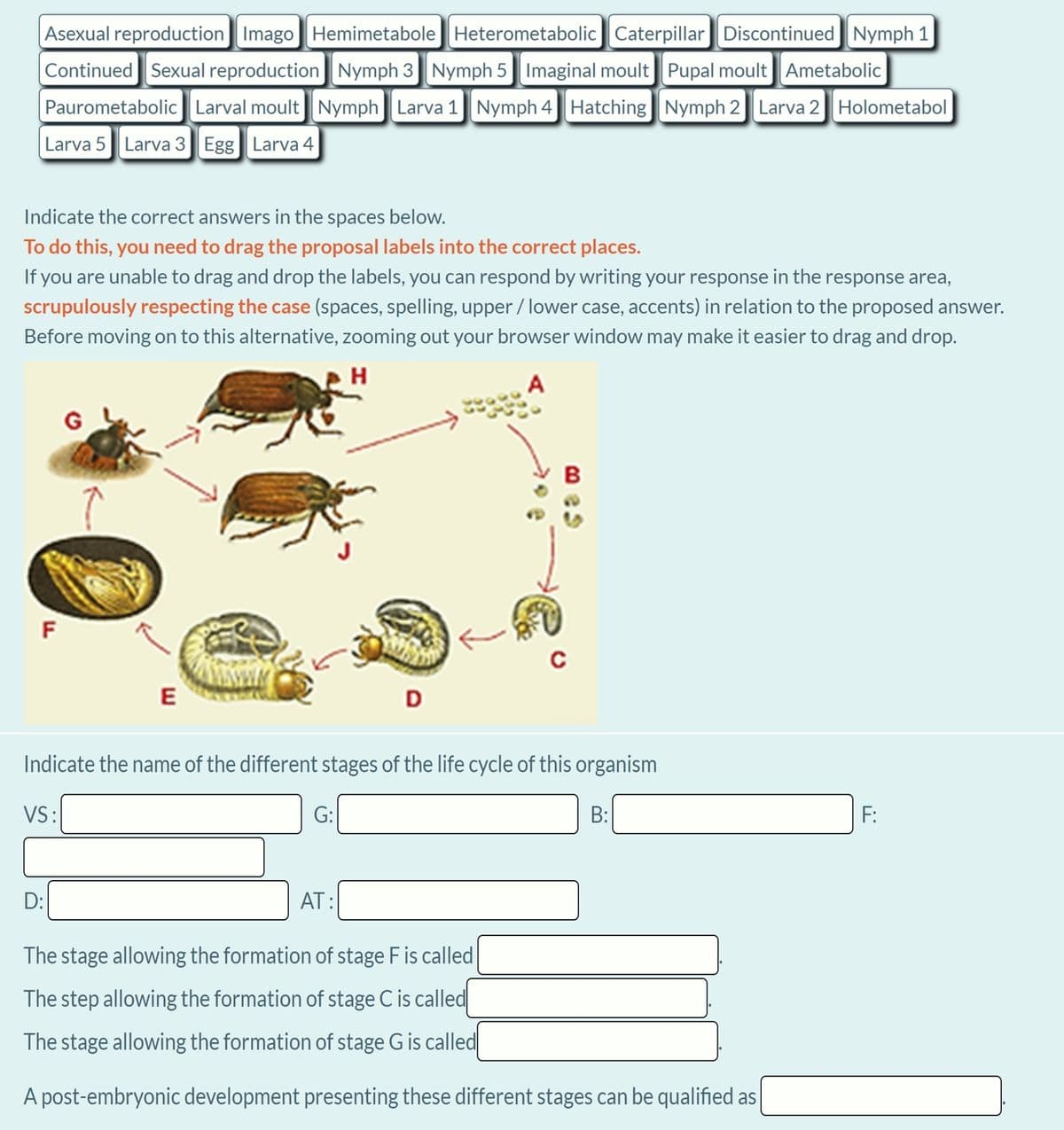 Asexual reproduction Imago Hemimetabole Heterometabolic Caterpillar Discontinued Nymph 1
Continued Sexual reproduction Nymph 3 Nymph 5 Imaginal moult Pupal moult Ametabolic
Paurometabolic Larval moult Nymph Larva 1 Nymph 4 Hatching Nymph 2 Larva 2 Holometabol
Larva 5 Larva 3 Egg Larva 4
Indicate the correct answers in the spaces below.
To do this, you need to drag the proposal labels into the correct places.
If you are unable to drag and drop the labels, you can respond by writing your response in the response area,
scrupulously respecting the case (spaces, spelling, upper / lower case, accents) in relation to the proposed answer.
Before moving on to this alternative, zooming out your browser window may make it easier to drag and drop.
H
A
F
E
D
Indicate the name of the different stages of the life cycle of this organism
VS:
G:
B:
F:
D:
AT:
The stage allowing the formation of stage F is called
The step allowing the formation of stage C is called
The stage allowing the formation of stage G is called
A post-embryonic development presenting these different stages can be qualified as
