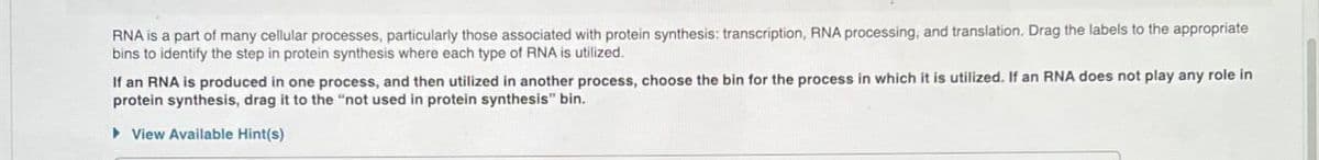 RNA is a part of many cellular processes, particularly those associated with protein synthesis: transcription, RNA processing, and translation. Drag the labels to the appropriate
bins to identify the step in protein synthesis where each type of RNA is utilized.
If an RNA is produced in one process, and then utilized in another process, choose the bin for the process in which it is utilized. If an RNA does not play any role in
protein synthesis, drag it to the "not used in protein synthesis" bin.
▸ View Available Hint(s)