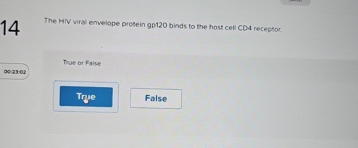 14
The HIV viral envelope protein gp120 binds to the host cell CD4 receptor.
00:23:02
True or False
True
False