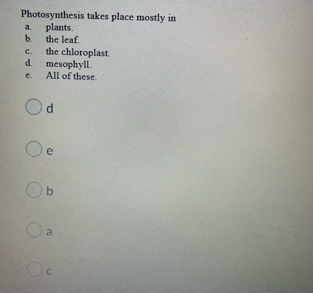 Photosynthesis takes place mostly in
a. plants.
b.
the leaf.
d.
the chloroplast.
mesophyll.
All of these.
d
Oe
b