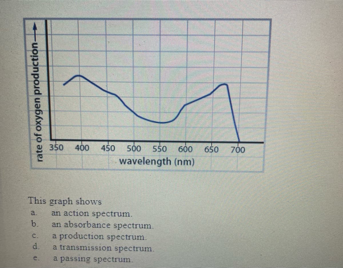 rate of oxygen production-
This graph shows
C
350 400 450 500
550 600 650 700
wavelength (nm)
an action spectrum.
b. an absorbance spectrum.
a production spectrum.
a transmission spectrum.
a passing spectrum.
d.