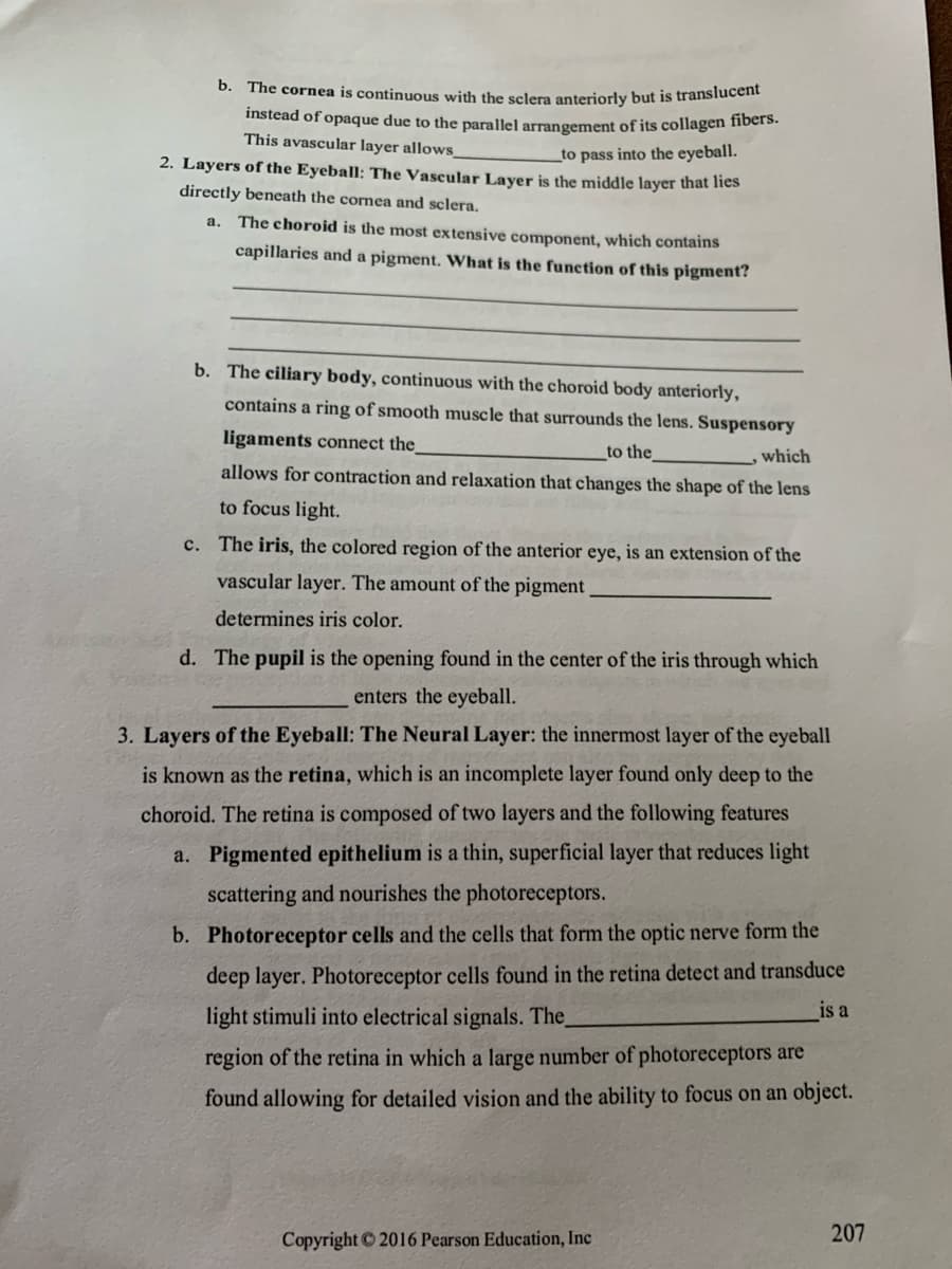 instead of opaque due to the parallel arrangement of its collagen fibers.
b. The cornea is continuous with the sclera anteriorly but is translucent
This avascular layer allows_
_to pass into the eyeball.
2. Layers of the Eyeball: The Vascular Layer is the middle layer that lies
directly beneath the cornea and sclera.
a. The choroid is the most extensive component, which contains
capillaries and a pigment. What is the function of this pigment?
b. The ciliary body, continuous with the choroid body anteriorly,
contains a ring of smooth muscle that surrounds the lens. Suspensory
ligaments connect the_
to the
which
allows for contraction and relaxation that changes the shape of the lens
to focus light.
c. The iris, the colored region of the anterior eye, is an extension of the
vascular layer. The amount of the pigment
determines iris color.
d. The pupil is the opening found in the center of the iris through which
enters the eyeball.
3. Layers of the Eyeball: The Neural Layer: the innermost layer of the eyeball
is known as the retina, which is an incomplete layer found only deep to the
choroid. The retina is composed of two layers and the following features
a. Pigmented epithelium is a thin, superficial layer that reduces light
scattering and nourishes the photoreceptors.
b. Photoreceptor cells and the cells that form the optic nerve form the
deep layer. Photoreceptor cells found in the retina detect and transduce
light stimuli into electrical signals. The
is a
region of the retina in which a large number of photoreceptors are
found allowing for detailed vision and the ability to focus on an object.
207
Copyright 2016 Pearson Education, Inc
