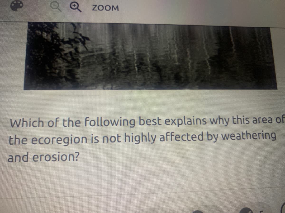 **Understanding Weathering and Erosion in Ecoregions**

*Visual Description:*
The image displayed above presents a natural scene, likely depicting a landscape within an ecoregion. The scene appears tranquil, featuring elements of water and vegetation, suggesting a natural habitat that may be less susceptible to significant weathering and erosion processes.

*Question:*

"Which of the following best explains why this area of the ecoregion is not highly affected by weathering and erosion?"

### Explanation:

To address this question, let's first understand the terms involved:

**Weathering** is the process by which rocks and minerals are broken down into smaller pieces by the effects of weather and environment factors like wind, water, and ice.

**Erosion** is the process by which soil and rock particles are worn away and moved elsewhere by wind, water, or ice.

Several factors can impact the susceptibility of an area to weathering and erosion:

- **Vegetation Cover:** Areas with dense vegetation tend to have roots that stabilize the soil, reducing erosion.
- **Water Flow:** Regions with slow-moving or standing water experience less erosion compared to fast-moving water which can carry soil away.
- **Rock Type and Structure:** Some rock types are more resistant to weathering and erosion due to their hardness and composition.
- **Climate:** Moderate climates with minimal extreme weather conditions can reduce the impact of weathering and erosion processes.

By examining the visual scenario and applying these factors, one can infer why this specific area within the ecoregion might be resilient to weathering and erosion. For example, if the pictured area shows dense vegetation and calm water, these can contribute to the stability and preservation of the landscape against erosive forces.