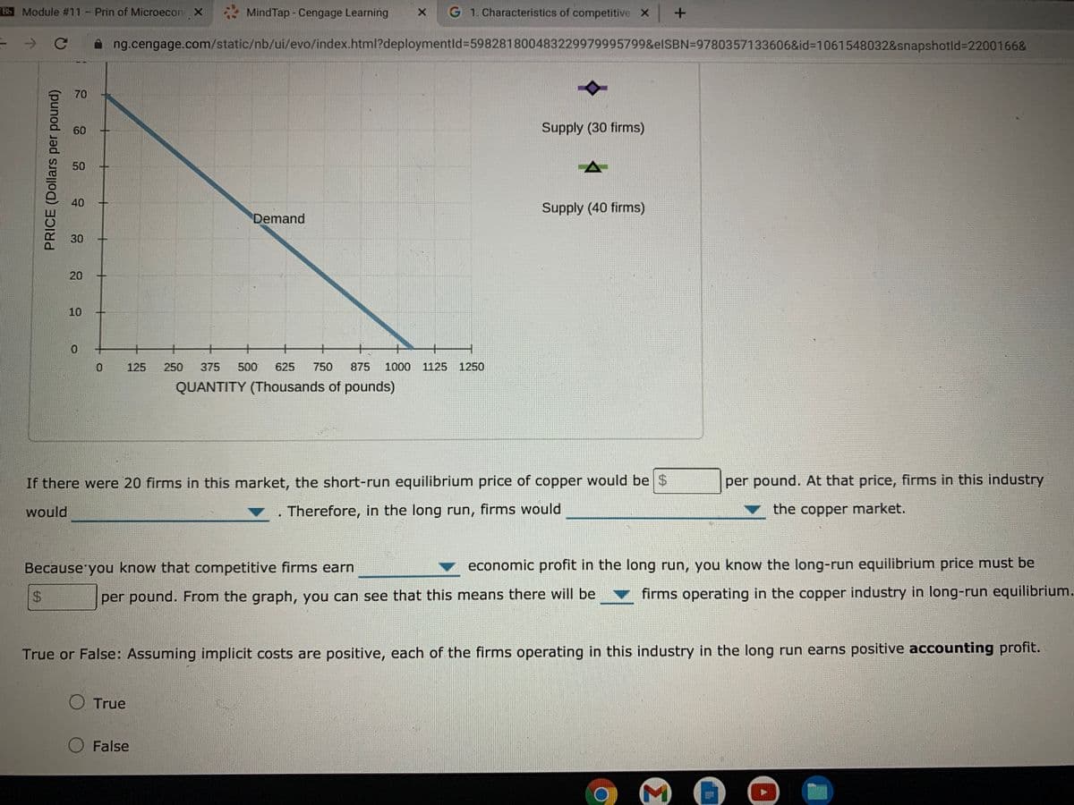 Bb Module #11 - Prin of Microecon X
MindTap - Cengage Learning
G 1. Characteristics of competitive X
ng.cengage.com/static/nb/ui/evo/index.html?deploymentld%3D598281800483229979995799&elSBN=9780357133606&id%3D1061548032&snapshotld%3D2200166&
70
60
Supply (30 firms)
50
40
Supply (40 firms)
Demand
30
10
+
+
+
+
125
250
375
500
625
750
875
1000 1125 1250
QUANTITY (Thousands of pounds)
If there were 20 firms in this market, the short-run equilibrium price of copper would be$
per pound. At that price, firms in this industry
would
Therefore, in the long run, firms would
the copper market.
Because you know that competitive firms earn
economic profit in the long run, you know the long-run equilibrium price must be
per pound. From the graph, you can see that this means there will be
firms operating in the copper industry in long-run equilibrium.
True or False: Assuming implicit costs are positive, each of the firms operating in this industry in the long run earns positive accounting profit.
O True
False
Σ
20
PRICE (Dollars per pound)
%24
