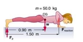 m = 50.0 kg
CG
w
0.90 m
1.50 m
reaction
F,
