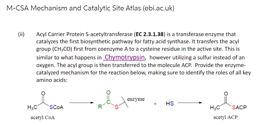 M-CSA Mechanism and Catalytic Site Atlas (ebi.ac.uk)
(ii)
Acyl Carrier Protein S-acetyltransferase (EC 2.3.1.38) is a transferase enzyme that
catalyzes the first biosynthetic pathway for fatty acid synthase. It transfers the acyl
group (CH3CO) first from coenzyme A to a cysteine residue in the active site. This is
similar to what happens in Chymotrypsin, however utilizing a sulfur instead of an
oxygen. The acyl group is then transferred to the molecule ACP. Provide the enzyme-
catalyzed mechanism for the reaction below, making sure to identify the roles of all key
amino acids:
i
H3C
SCOA
acetyl COA
enzyme
+ HS
i
H3C
SACP
acetyl ACP