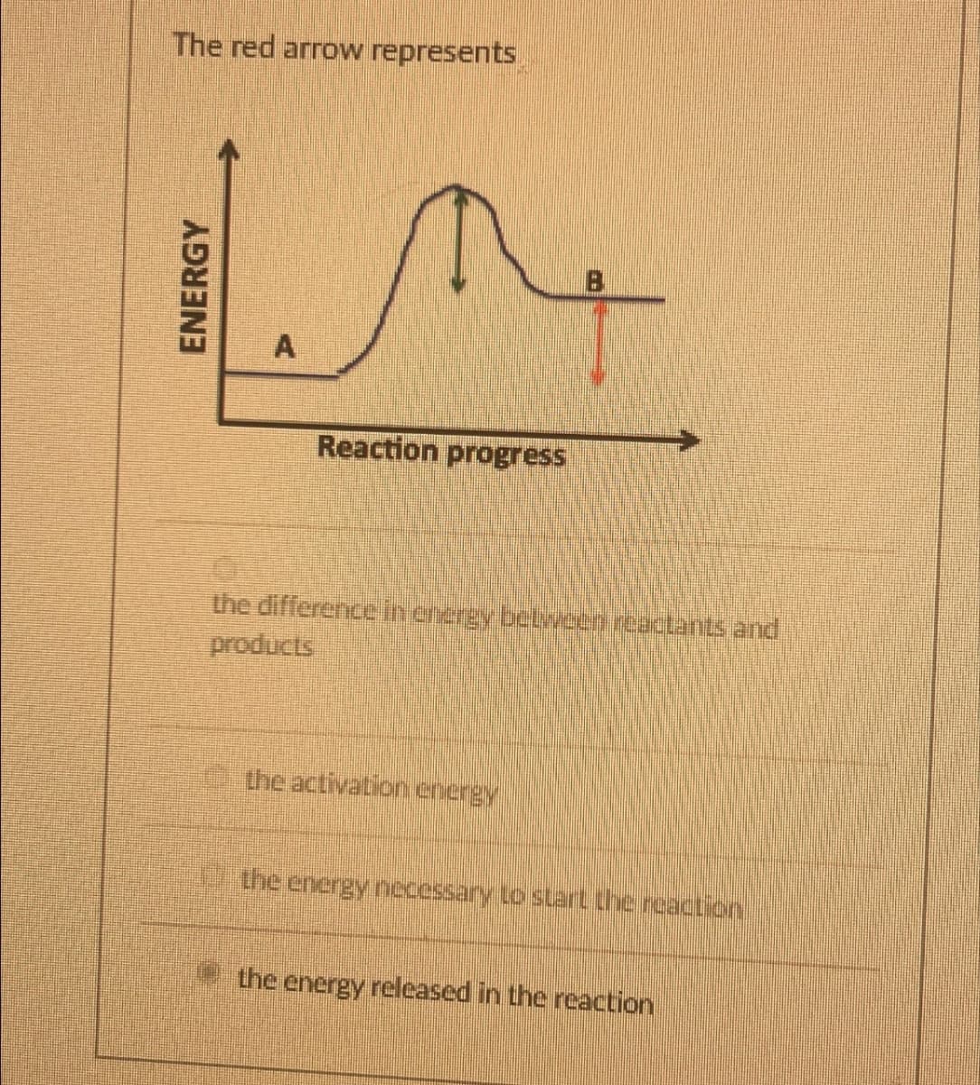 The red arrow represents
ENERGY
Reaction progress
the difference in energy between reactants and
products
the activation energy
the energy necessary to start the reaction
the energy released in the reaction