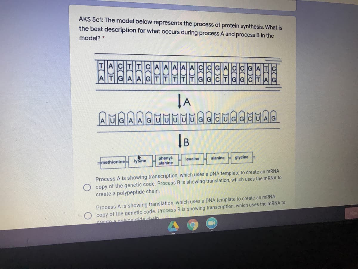 AKS 5c1: The model below represents the process of protein synthesis. What is
the best description for what occurs during process A and process B in the
model? *
AA A
GA
TIT TT G
CITG GCITAG
|A
AMGAA
MAQ
IB
phenyl-
alanine
leucine
alanine
glycine
methionineH iysine
Process A is showing transcription, which uses a DNA template to create an mRNA
copy of the genetic code. Process B is showing translation, which uses the MRNA to
create a polypeptide chain.
Process A is showing translation, which uses a DNA template to create an MRNA
copy of the genetic code. Process B is showing transcription, which uses the MRNA to
create a nolynentide chain
AT
