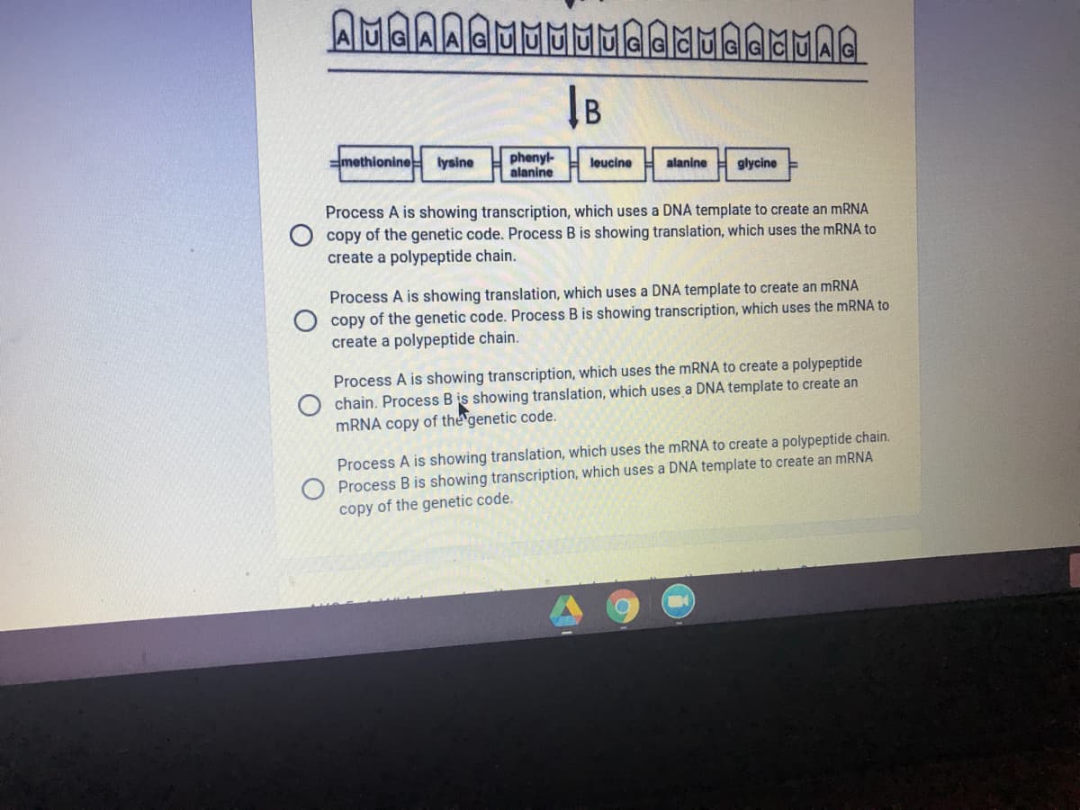 AMAI
IB
methionine lysine
phenyl-
alanine
leucine
alanine
glycine
Process A is showing transcription, which uses a DNA template to create an MRNA
copy of the genetic code. Process B is showing translation, which uses the MRNA to
create a polypeptide chain.
Process A is showing translation, which uses a DNA template to create an MRNA
copy of the genetic code. Process B is showing transcription, which uses the MRNA to
create a polypeptide chain.
Process A is showing transcription, which uses the mRNA to create a polypeptide
chain. Process B is showing translation, which uses a DNA template to create an
MRNA copy of the genetic code.
Process A is showing translation, which uses the mRNA to create a polypeptide chain.
Process B is showing transcription, which uses a DNA template to create an MRNA
copy of the genetic code.
