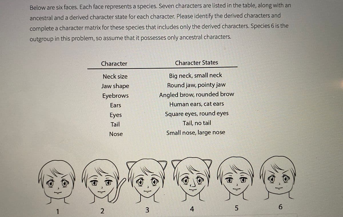 Below are six faces. Each face represents a species. Seven characters are listed in the table, along with an
ancestral and a derived character state for each character. Please identify the derived characters and
complete a character matrix for these species that includes only the derived characters. Species 6 is the
outgroup in this problem, so assume that it possesses only ancestral characters.
1
Character
Neck size
Jaw shape
Eyebrows
Ears
2
Eyes
Tail
Nose
3
Character States
Big neck, small neck
Round jaw, pointy jaw
Angled brow, rounded brow
Human ears, cat ears
Square eyes, round eyes
Tail, no tail
Small nose, large nose
4
('6
5
6
64
6