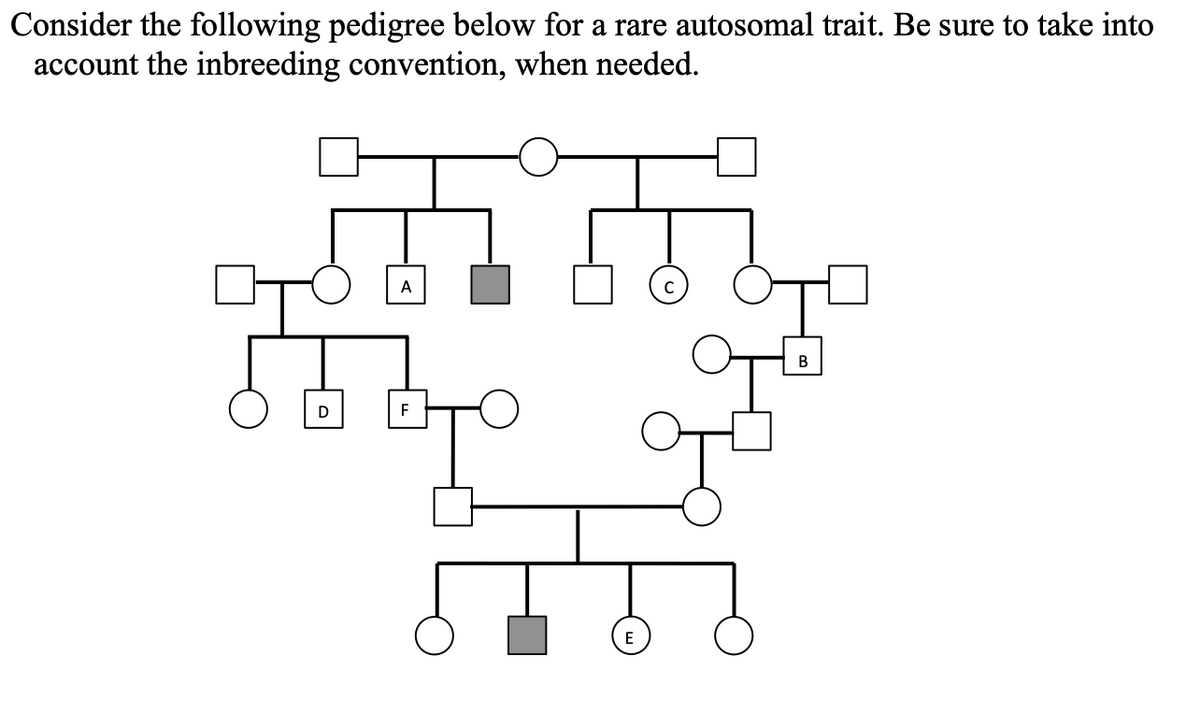 Consider the following pedigree below for a rare autosomal trait. Be sure to take into
account the inbreeding convention, when needed.
A
D
F
E
