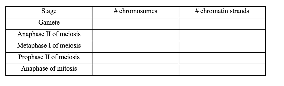 Stage
# chromosomes
# chromatin strands
Gamete
Anaphase II of meiosis
Metaphase I of meiosis
Prophase II of meiosis
Anaphase of mitosis
