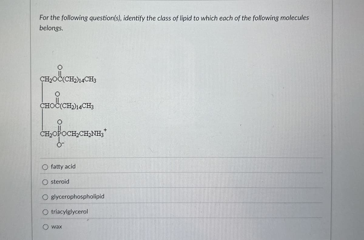 For the following question(s), identify the class of lipid to which each of the following molecules
belongs.
0
CH₂OC(CH2)14CH3
0
CHOC(CH2)14CH3
OPOCH2CH2NH3+
O fatty acid
O steroid
O glycerophospholipid
O triacylglycerol
wax