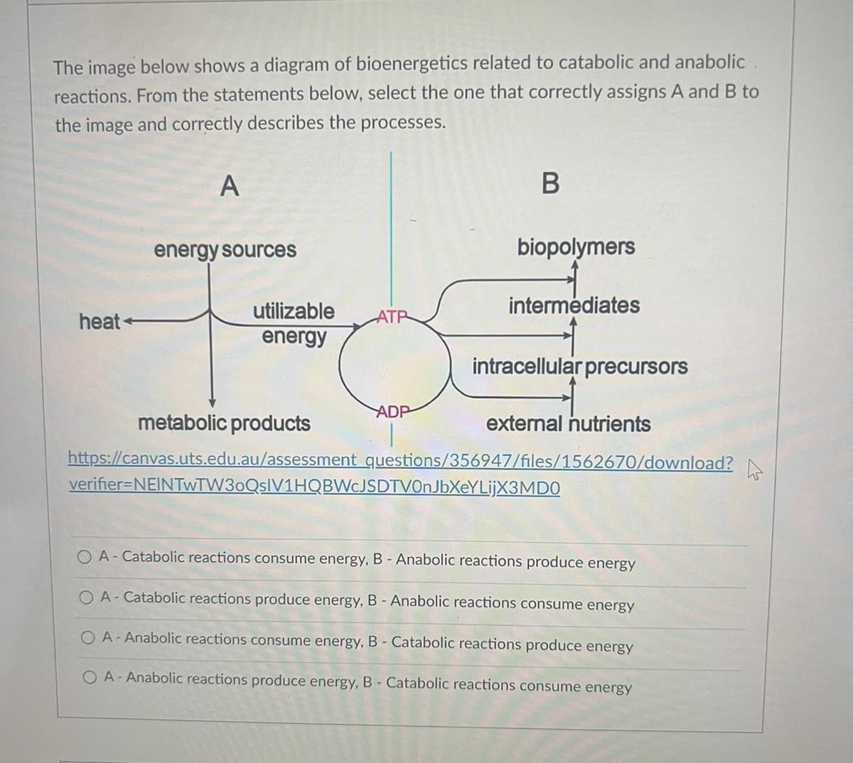 The image below shows a diagram of bioenergetics related to catabolic and anabolic
reactions. From the statements below, select the one that correctly assigns A and B to
the image and correctly describes the processes.
heat
A
energy sources
utilizable
energy
ADP
B
biopolymers
intermediates
intracellular precursors
metabolic products
external nutrients
https://canvas.uts.edu.au/assessment questions/356947/files/1562670/download?
verifier=NEINTWTW30QsIV1HQBWcJSDTVOnJbXeYLijX3MD0
OA-Catabolic reactions consume energy, B - Anabolic reactions produce energy
OA-Catabolic reactions produce energy, B - Anabolic reactions consume energy
O A-Anabolic reactions consume energy, B - Catabolic reactions produce energy
OA-Anabolic reactions produce energy, B - Catabolic reactions consume energy