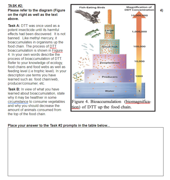 TASK #2:
Please refer to the diagram (Figure
on the right as well as the text
Magnification of
DDT Concentration
Fish-Eating Birds
4)
10,000,000
above.
Task A: DTT was once used as a
potent insecticide until its harmful
effects had been discovered. It is not
banned. Like methyl mercury, it
bioaccumulates in organisms up the
food chain. The process of DTT
bioaccumulation is shown in Figure
4. In your own words describe the
process of bioaccumulation of DTT.
Refer to your knowledge of ecology,
food chains and food webs as well as
feeding level (i.e trophic level). In your
description use terms you have
learned such as: food chain/web,
Large
Eish
1,000,000
Small Fish
100,000
10,000
Zooplankton
Producers
1000
producer/consumer, etc.
Task B: In view of what you have
learned about bioaccumulation, state
why it may be healthier in some
circumstance to consume vegetables
and why you should decrease the
amount of animals consumed from
the top of the food chain.
Water
Figure 4. Bioaccumulation (biomagnifica-
tion) of DTT up the food chain.
Place your answer to the Task #2 prompts in the table below..
